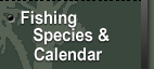 Fishing Species and Calendar
