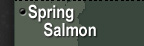 Spring Salmon