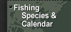 Fishing Species