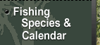 Fishing Species and Calendar